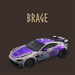 Team Vikings Brage team car