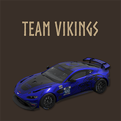 Team Vikings team car